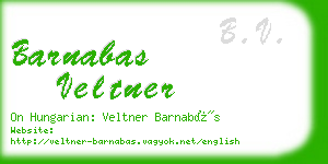 barnabas veltner business card